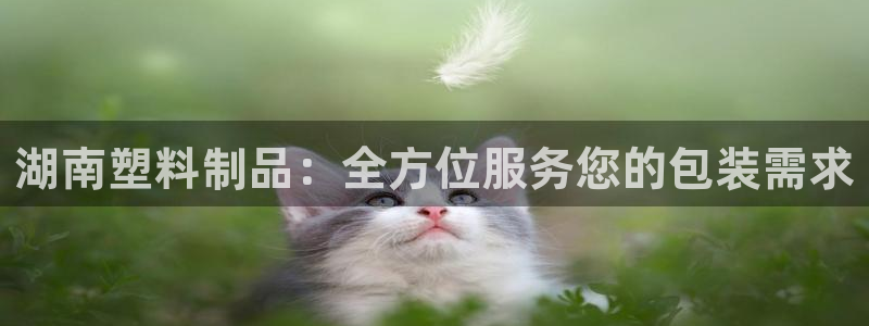 古天樂和太陽集團什么關(guān)系：湖南塑料制品：全方位服務(wù)您的包裝需