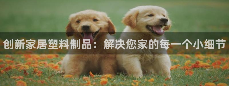 2138cn太陽(yáng)集團(tuán)古天樂(lè)·網(wǎng)上娛樂(lè)：創(chuàng)新家居塑料制品：解決