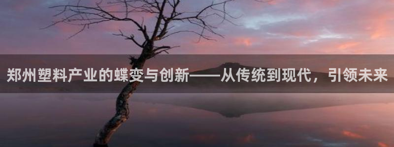 澳門太陽游戲城：鄭州塑料產業(yè)的蝶變與創(chuàng)新——從傳統(tǒng)到現代，引