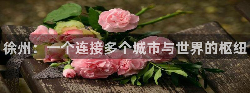 澳門太陽集團洗米華：徐州：一個連接多個城市與世界的樞紐