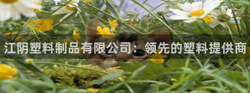 太陽(yáng)集團(tuán)網(wǎng)站多少：江陰塑料制品有限公司：領(lǐng)先的塑料提供商