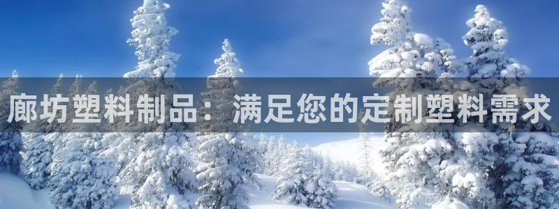 太陽(yáng)誠(chéng)集團(tuán)有限公司是國(guó)企嗎：廊坊塑料制品：滿(mǎn)足您的定制塑料需