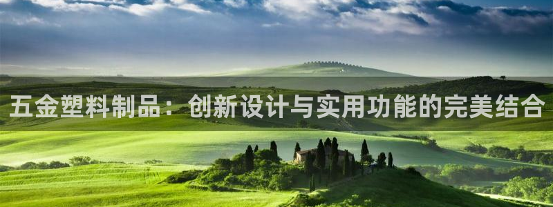 太陽(yáng)成集團(tuán)老板：五金塑料制品：創(chuàng)新設(shè)計(jì)與實(shí)用功能的完美結(jié)合