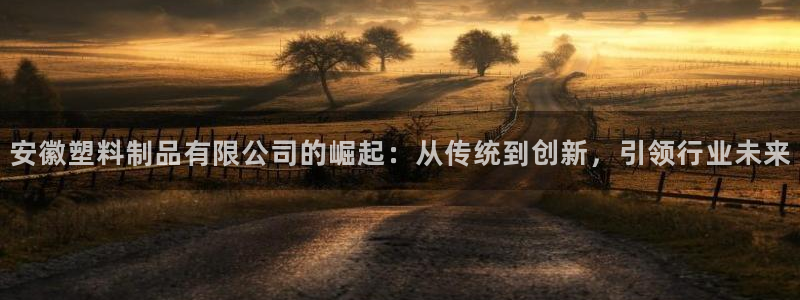 太陽(yáng)成集團(tuán)tyc234cc主頁(yè)網(wǎng)址：安徽塑料制品有限公司的崛