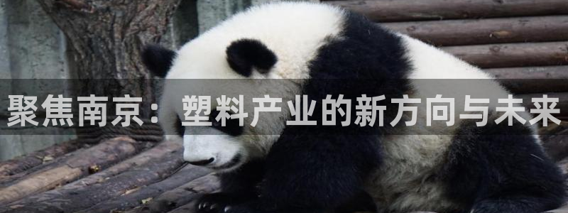 古天樂(lè)代言太陽(yáng)集團(tuán)線(xiàn)路檢測(cè)：聚焦南京：塑料產(chǎn)業(yè)的新方向與未來(lái)